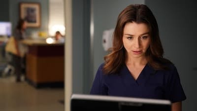 Assistir Grey’s Anatomy Temporada 14 Episódio 2 Online em HD