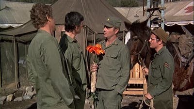 Assistir M*A*S*H Temporada 1 Episódio 22 Online em HD