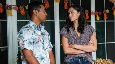 Assistir Havaí Cinco-0 Temporada 10 Episódio 9 Online em HD