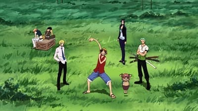 Assistir One Piece Temporada 7 Episódio 209 Online em HD