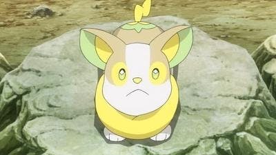 Assistir Pokémon Temporada 25 Episódio 17 Online em HD