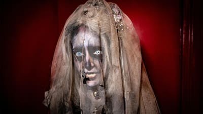 Assistir Wellington Paranormal Temporada 3 Episódio 3 Online em HD