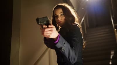 Assistir Continuum Temporada 4 Episódio 5 Online em HD