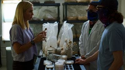 Assistir Mercado Ilegal com Mariana van Zeller Temporada 3 Episódio 2 Online em HD
