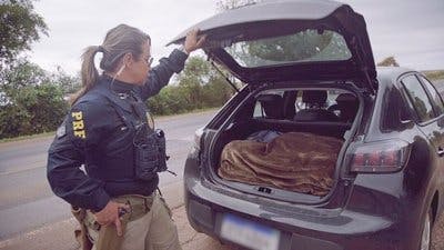 Assistir Border Control: Brazil Temporada 3 Episódio 1 Online em HD