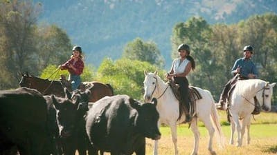 Assistir Aluga-se um Paraíso Temporada 1 Episódio 2 Online em HD