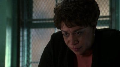 Assistir Lei & Ordem Temporada 16 Episódio 21 Online em HD