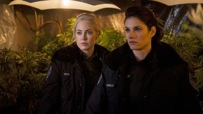 Assistir Rookie Blue Temporada 4 Episódio 10 Online em HD