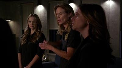 Assistir Mentes Criminosas Temporada 10 Episódio 23 Online em HD