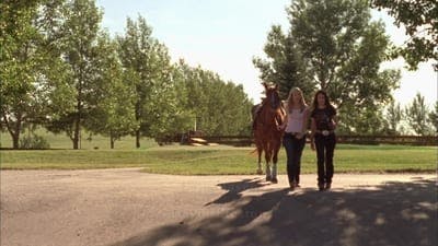 Assistir Heartland Temporada 2 Episódio 7 Online em HD