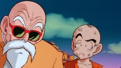 Assistir Dragon Ball Z Kai Temporada 1 Episódio 17 Online em HD