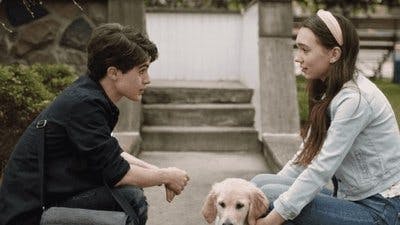 Assistir Holly Hobbie Temporada 3 Episódio 1 Online em HD