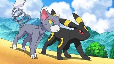 Assistir Pokémon Temporada 12 Episódio 34 Online em HD