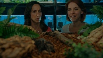 Assistir Supermães Temporada 7 Episódio 1 Online em HD