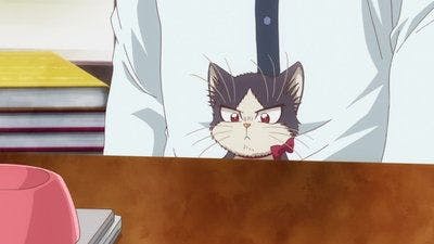 Assistir My Roommate is a Cat Temporada 1 Episódio 11 Online em HD