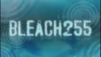 Assistir Bleach Temporada 1 Episódio 255 Online em HD