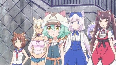 Assistir Nekopara Temporada 1 Episódio 4 Online em HD