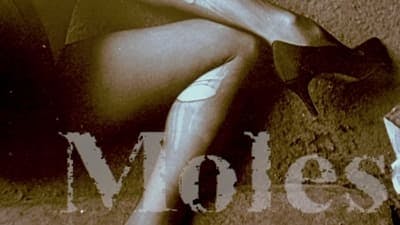 Assistir Lei & Ordem: Unidade de Vítimas Especiais Temporada 13 Episódio 8 Online em HD
