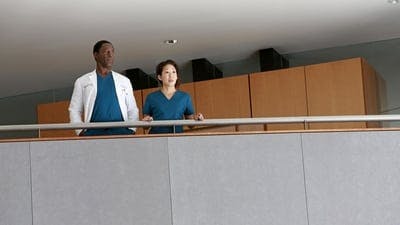 Assistir Grey’s Anatomy Temporada 10 Episódio 22 Online em HD