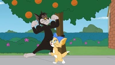 Assistir O Show de Tom e Jerry Temporada 2 Episódio 76 Online em HD