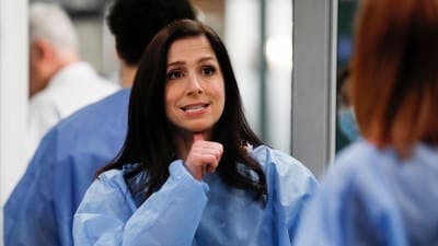 Assistir Grey’s Anatomy Temporada 16 Episódio 14 Online em HD