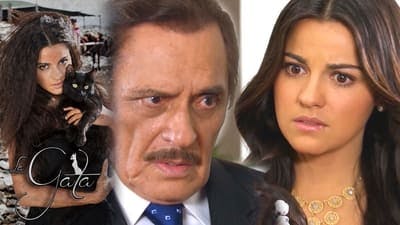 Assistir A Gata Temporada 1 Episódio 50 Online em HD