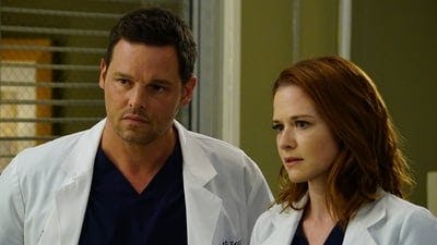 Assistir Grey’s Anatomy Temporada 12 Episódio 22 Online em HD