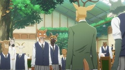 Assistir Beastars – O Lobo Bom Temporada 1 Episódio 2 Online em HD