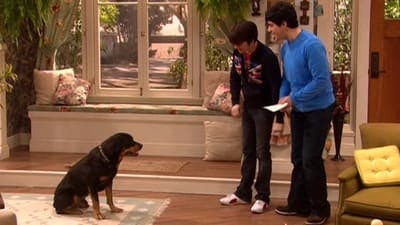 Assistir Drake e Josh Temporada 4 Episódio 2 Online em HD