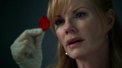 Assistir CSI: Investigação Criminal Temporada 7 Episódio 3 Online em HD