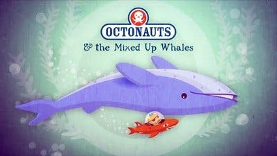 Assistir Octonautas Temporada 1 Episódio 23 Online em HD