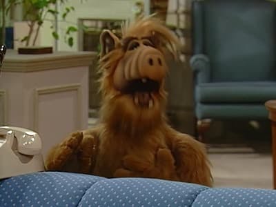 Assistir ALF, o ETeimoso Temporada 1 Episódio 18 Online em HD