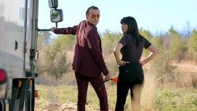 Assistir Nickelodeons Spyders Temporada 2 Episódio 19 Online em HD