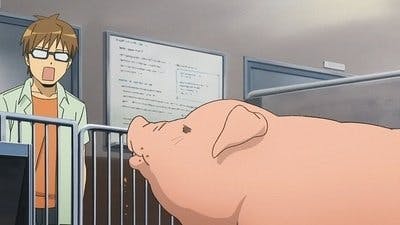 Assistir Silver Spoon Temporada 1 Episódio 9 Online em HD