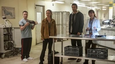 Assistir NCIS Havaí: Investigações Criminais Temporada 3 Episódio 10 Online em HD