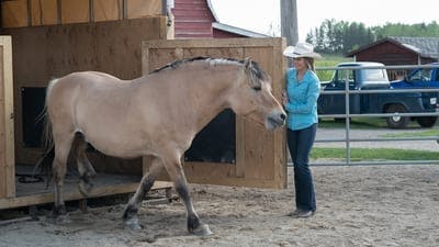 Assistir Heartland Temporada 11 Episódio 4 Online em HD