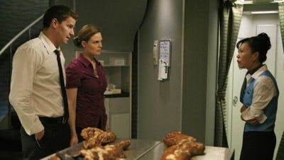 Assistir Bones Temporada 4 Episódio 10 Online em HD