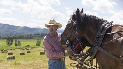 Assistir Heartland Temporada 7 Episódio 5 Online em HD