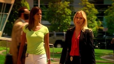 Assistir CSI: Miami Temporada 8 Episódio 2 Online em HD