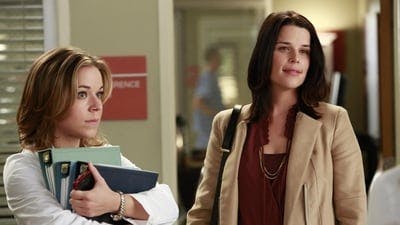 Assistir Grey’s Anatomy Temporada 9 Episódio 8 Online em HD