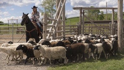 Assistir Heartland Temporada 7 Episódio 4 Online em HD