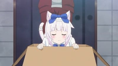 Assistir Nekopara Temporada 1 Episódio 10 Online em HD