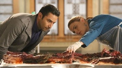 Assistir Bones Temporada 11 Episódio 10 Online em HD