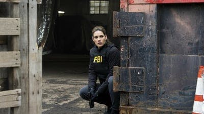 Assistir FBI Temporada 5 Episódio 13 Online em HD