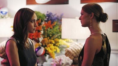 Assistir Revenge Temporada 4 Episódio 10 Online em HD