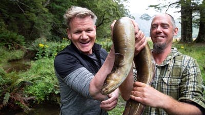 Assistir Sabores Extremos com Gordon Ramsay Temporada 1 Episódio 2 Online em HD