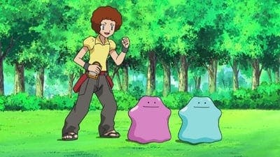 Assistir Pokémon Temporada 13 Episódio 16 Online em HD