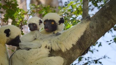 Assistir Os Parques Nacionais Mais Fascinantes do Mundo Temporada 1 Episódio 1 Online em HD