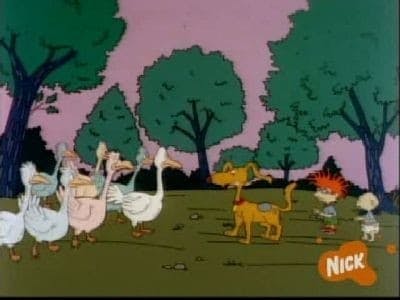 Assistir Rugrats: Os Anjinhos Temporada 1 Episódio 12 Online em HD