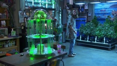 Assistir Disjointed Temporada 1 Episódio 18 Online em HD